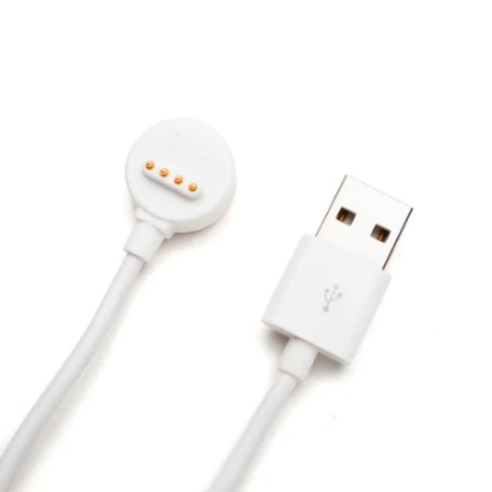 R1/R1s/R1c Charging Cable