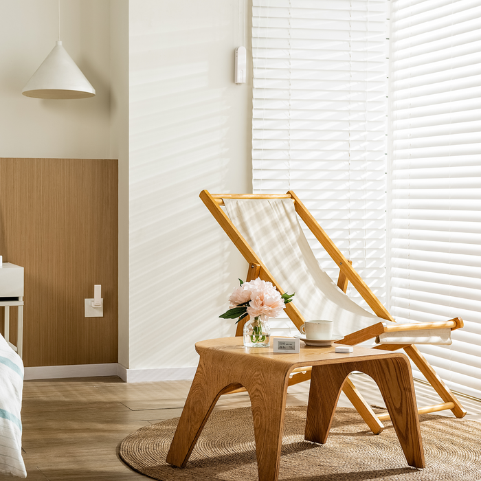 Aqara Smart Home Roller Shade Driver E1